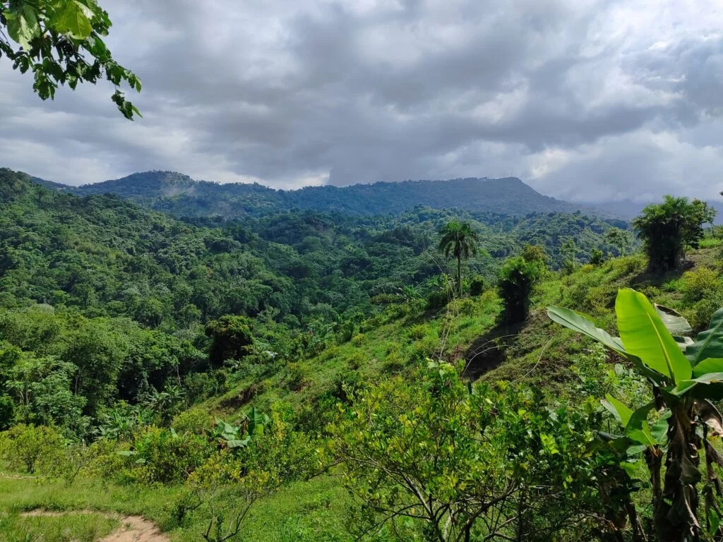 Lush green mountain landscape in the Dominican Republic